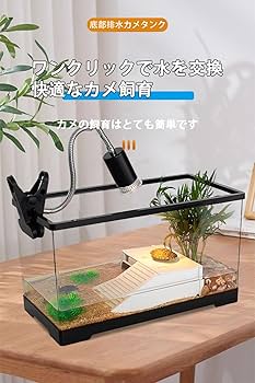 Amazon | 爬虫類 ケージ 亀 水槽 大きい 13点セット レプタイル